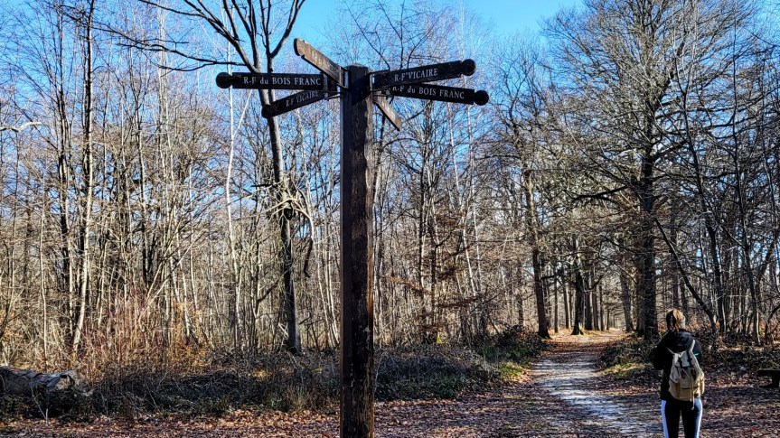 GR1.8 – De L&rsquo;Isle-Adam à&nbsp;Viarmes