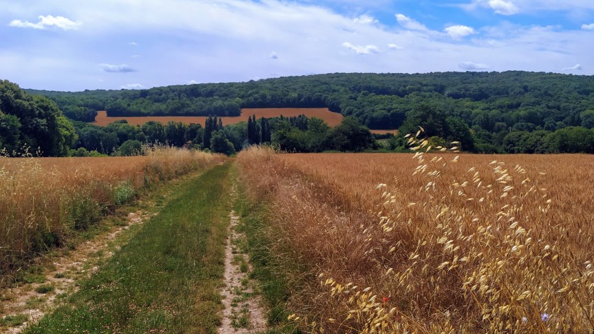 GR1.5 – De Vaux-sur-Seine à&nbsp;Us